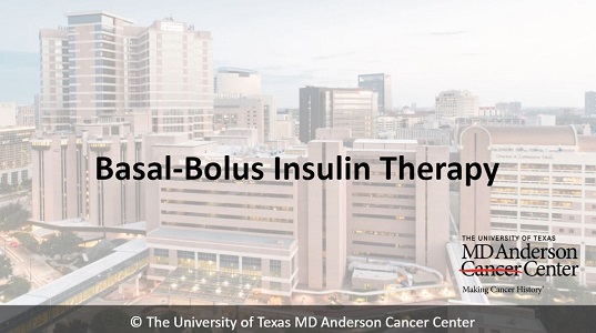  Basal-Bolus Insulin Therapy Banner